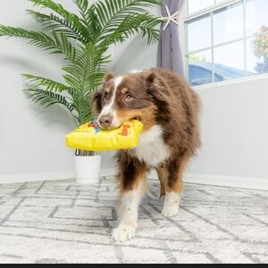 Fun Food Paws Sour Pooch Plush Toy